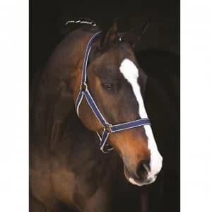Amigo Headcollar - Navy/Silver