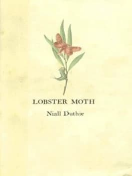 Lobster Moth by Niall Duthie Hardback