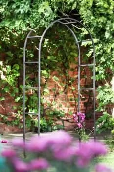 Tom Chambers Black Powder Coated Classic 228cm x 110cm Metal Steel Garden Flower Arch