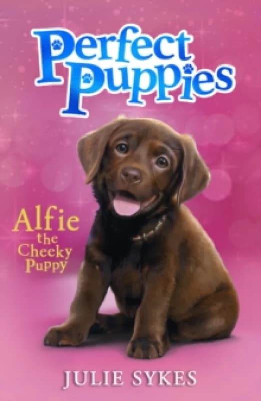 Perfect Puppies Book 1 Paperback / softback