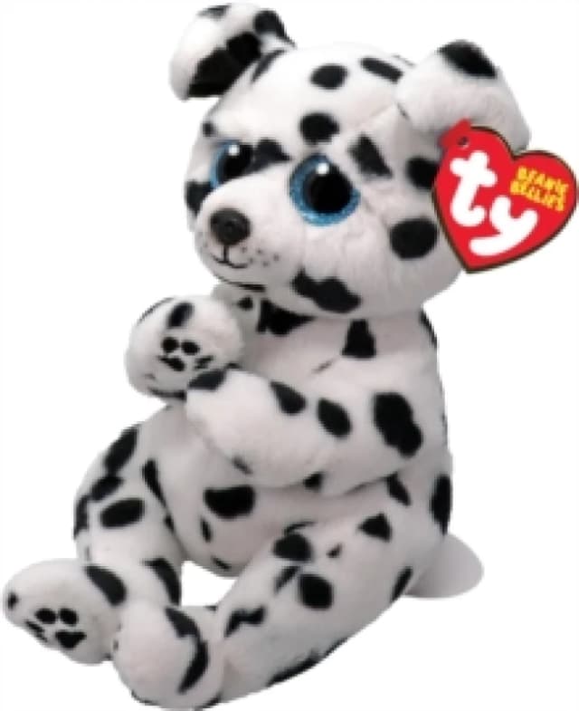 Ty Beanie Bellies Rowdy Dalmation 15cm Multi