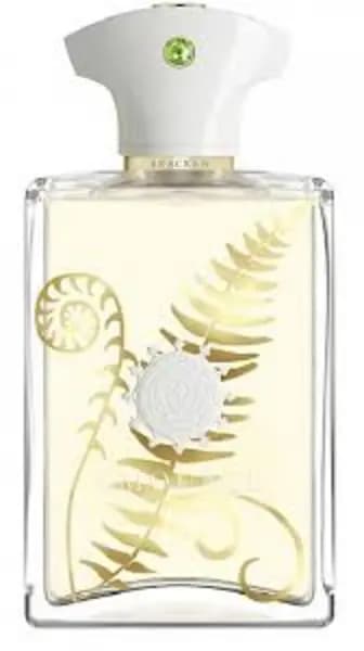 Amouage Bracken Eau de Parfum For Him 100ml