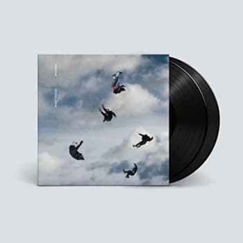 Giant Rooks - Rookery Vinyl