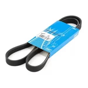 SKF V-ribbed belt VKMV 5PK1199 Serpentine belt,Auxiliary belt RENAULT,NISSAN,CLIO II (BB0/1/2_, CB0/1/2_),SCENIC II (JM0/1_),KANGOO (KC0/1_)