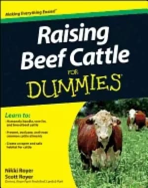 raising beef cattle for dummies