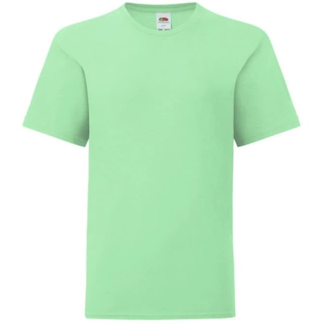 Fruit of the Loom Iconic T-Shirt in Mint Size: 12-13 Years Mint Unisex 12-13 Years