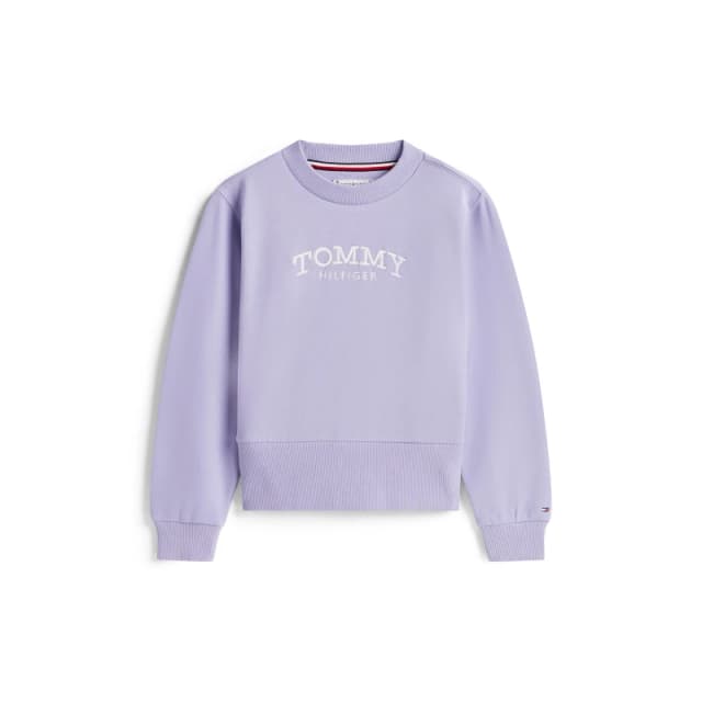 Tommy Hilfiger Kids Crew Sweatshirt Dusk C5U female 12Y