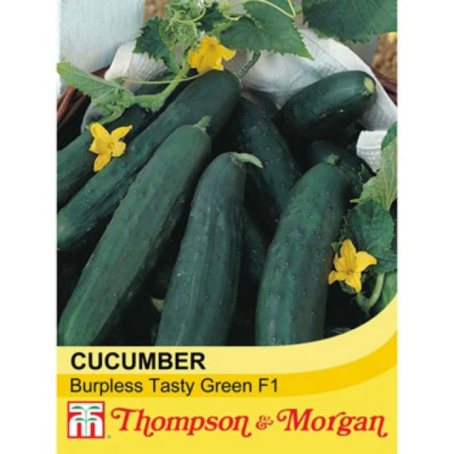 Thompson & Morgan Cucumber Burpless Tasty Green F1 Hybrid 1 Seed Packet (10 Seeds)