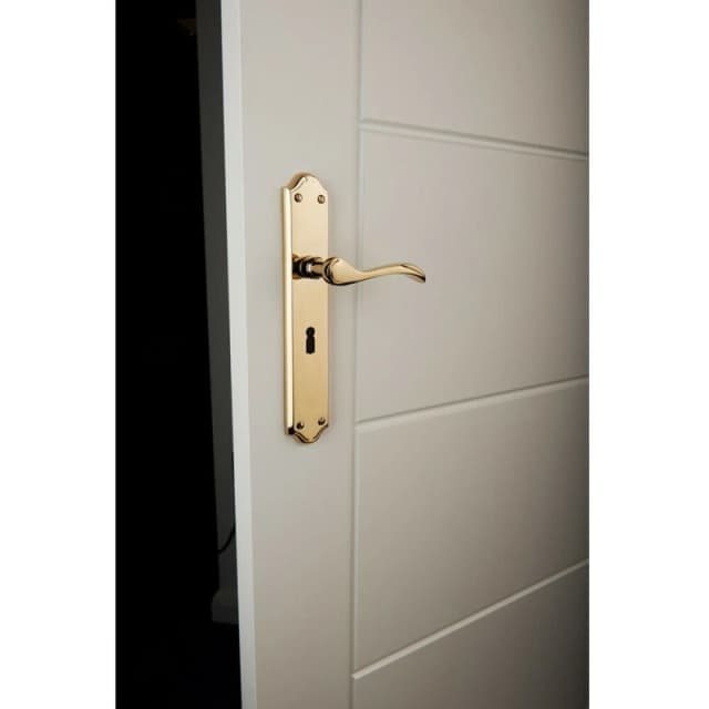 Loops PAIR Curved Handle on Long Lock Backplate 245 x 45mm Polished Chrome Multi