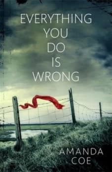 Everything You Do Is Wrong by Amanda Coe Hardback