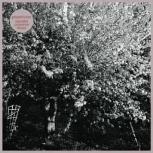 Parallel Universe Blues by Papercuts CD Album