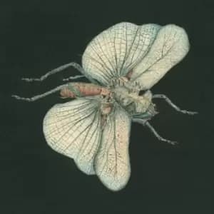 Go Dig My Grave by Susanna CD Album