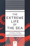 extreme life of the sea