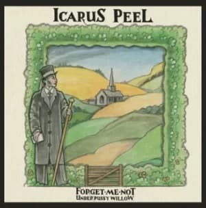 Forget-me-not Under Pussy Willow by Icarus Peel CD Album