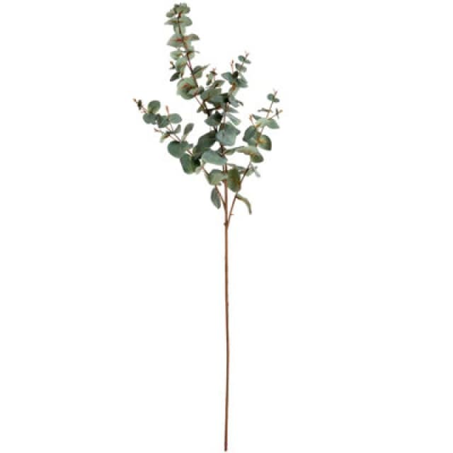 Hill Interiors Artificial Variegated Eucalyptus Sage (One Size)
