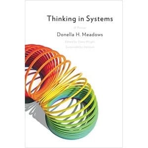 Thinking in Systems Practical Guidelines to Diagnosis and Therapy 2015 Hardback