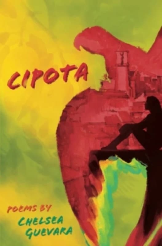 Cipota Paperback / softback