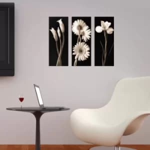 XTP065 Multicolor Decorative Framed MDF Painting (3 Pieces)