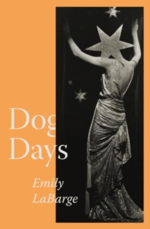 Dog Days. Paperback. By Emily LaBarge Books