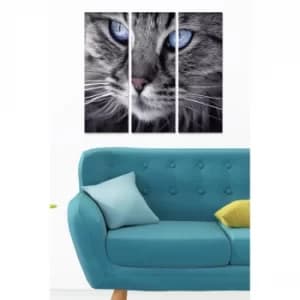 MDF3912485 Multicolor Decorative MDF Painting (3 Pieces)