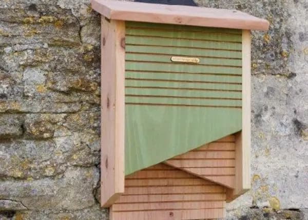 Wildlife World Conservation Bat Box