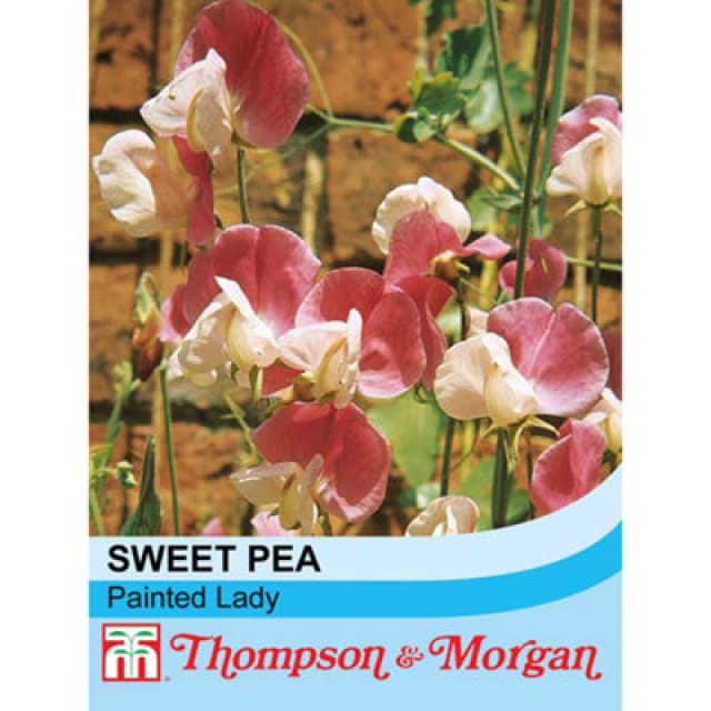Thompson & Morgan Sweet Pea Painted Lady 1 Packet (20 Seeds)