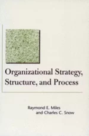 organizational strategy structure and process