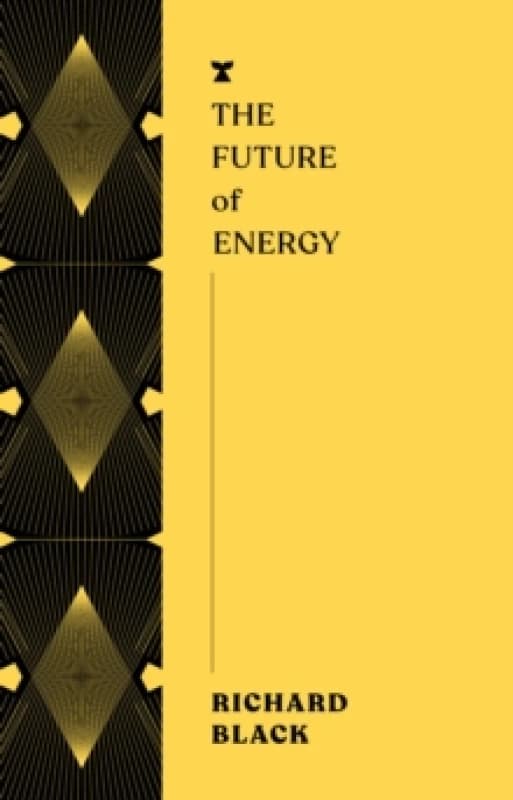 The Future of Energy Paperback / softback