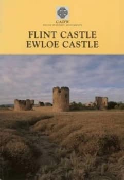 Flint Castle Ewloe Castle by D. F Renn and Richard Avent and Cadw Paperback