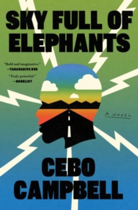 Sky Full of Elephants : A Novel Paperback / softback
