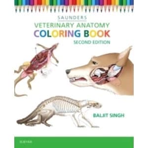 Veterinary Anatomy Coloring Book by Saunders (Paperback, 2015)
