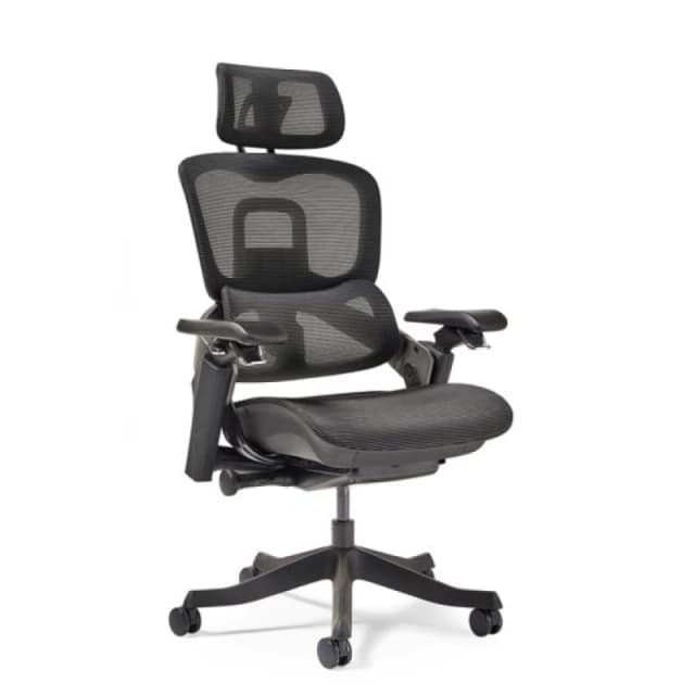 Lyra Lyra is a fully ergonomic task chair with adjustable arms and integrated head rest in Black LYR300T1-K