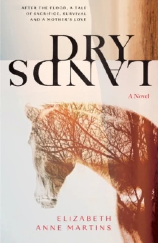 Dry Lands Paperback / softback