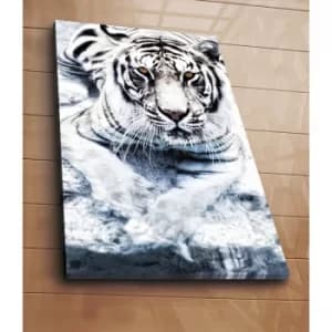 70100C-076 Multicolor Decorative Canvas Painting