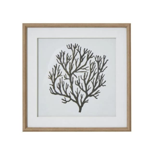 Hill Interiors Atol Coral Art Mounted In Beaded Frame - Glass - L2 X W40 X H40 Cm - Brown