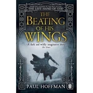 The Beating of his Wings by Paul Hoffman (Paperback, 2014)