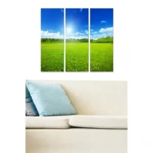 MDF96902962 Multicolor Decorative MDF Painting (3 Pieces)