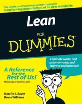 Lean for Dummies by Natalie J. Sayer Book