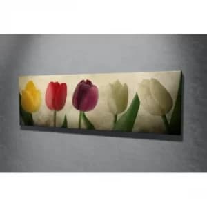 PC147 Multicolor Decorative Canvas Painting