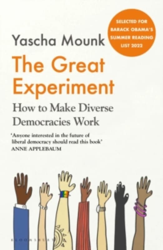 The Great Experiment : How to Make Diverse Democracies Work Paperback / softback