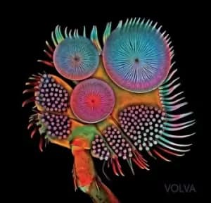 Volva by Echolot CD Album