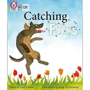 Catching Flies: Band 09/Gold by HarperCollins Publishers (Paperback, 2012)