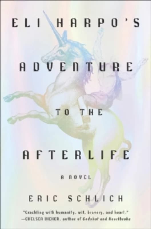 Eli Harpo's Adventure to the Afterlife : A Novel Hardback