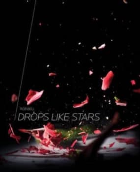 Drops like Stars Book