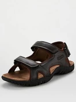 Regatta Haris Sandal - Brown