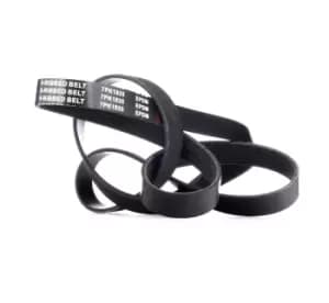 RIDEX V-ribbed belt OPEL,RENAULT,NISSAN 305P0385 1172000Q1G,4434612,93198391 8200778717,809225000