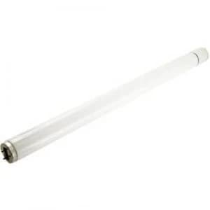UV fluorescent tube Mo el UVA 802 Suitable for Mo el CriCri 308A CriCri 308E