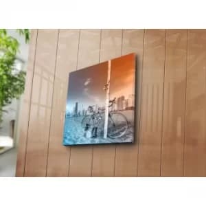 4545NAT-30 Multicolor Decorative Canvas Painting