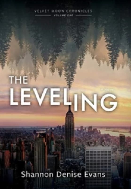 Velvet Moon Chronicles : The Leveling Hardback