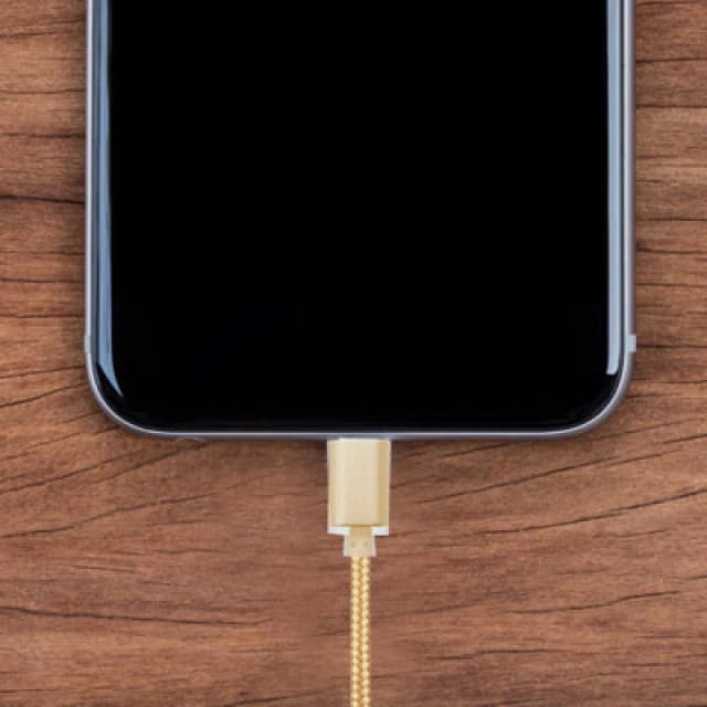 FX Braided Micro USB 'Data Cable' Gold Gold unisex